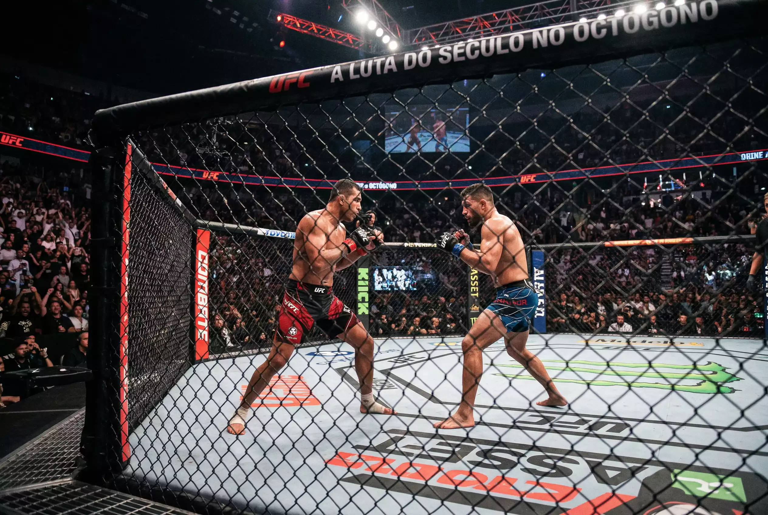 Octogono de MMA com dois lutadores em posicao de combate